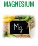 MAGNESIUM